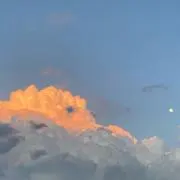 みきの画像