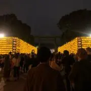 フジモリ　シュウヤ