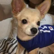 くぅ