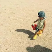 bebe