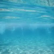 えりかの画像