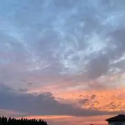 Mの画像