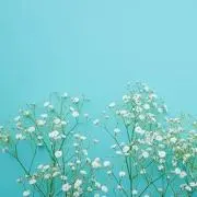 a.sの画像