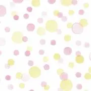 のりの画像