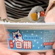 Nojikoの画像