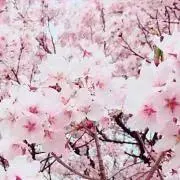 郁