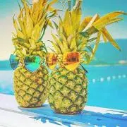みかんの画像