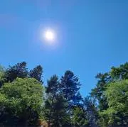 トパーズ⭐︎の画像