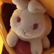 Christinaの画像