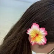 seleの画像