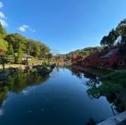 音羽の画像