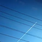 まのの画像