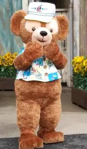 kana(グッズ整理中の画像