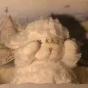もくの画像