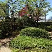 ジャックの画像