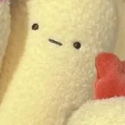 tocchiの画像