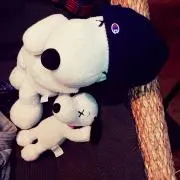 ニャンコの画像