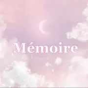 Mémoir︙ネイルチップ販売
