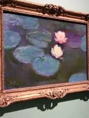 くぅの画像