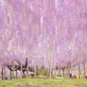 ゆうなの画像