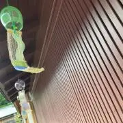 ao