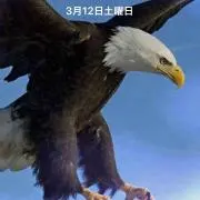 龍
