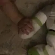 Mの画像