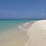 ここじろーの画像