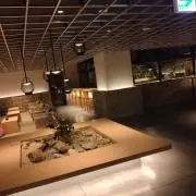 澁谷悠哩の画像