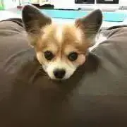 ☆はる☆の画像