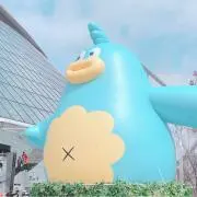ゆのの画像