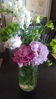 なぽこたん