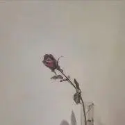 おこげ