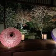 minamiの画像
