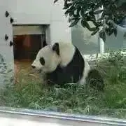 ビタミンEの画像