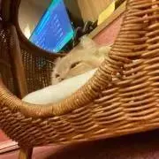 眠の画像