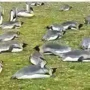 発送は火木金。プロフ必読お願いします。の画像