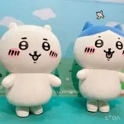 たぴ。の画像
