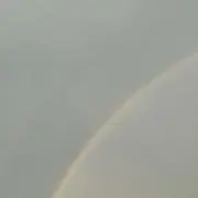 mmの画像