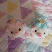 ルルロロの画像