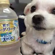 myumyu
