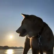 あいりの画像