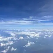 Hikariの画像