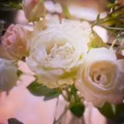 おはぎの画像