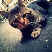 むつみ