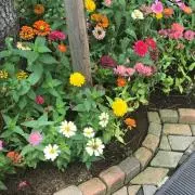 ぶくろの画像