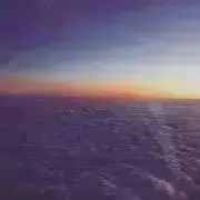 ariの画像