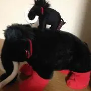 マクマクの画像