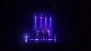 Dフラミンゴ