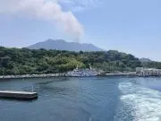 Cinnamomum★プロフ必読の画像